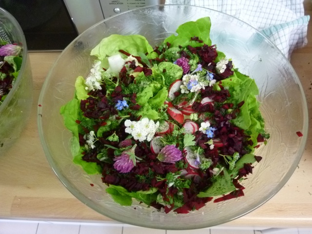 recettes-saladfleurs